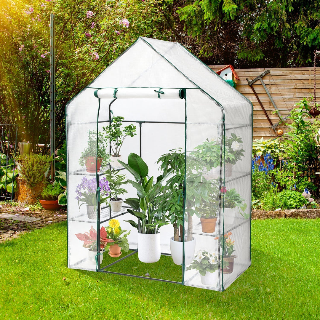 Greenhouse Film Greenhouse with Shelves | Kalsten
