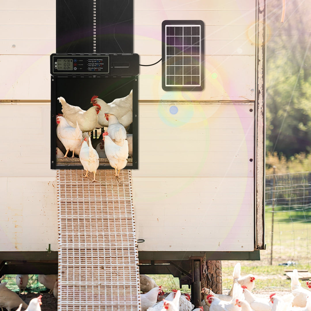 Electric Chicken Coop Door Solar with LED Display and Remote Control | Kalsten