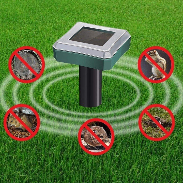 Repel pests - Healthy and protected garden - Environmentally friendly and effective | Kalsten