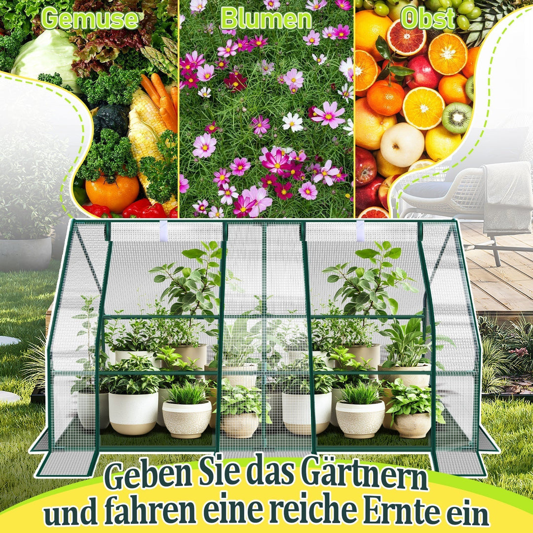 Greenhouse Tomato Greenhouse Hothouse | Kalsten