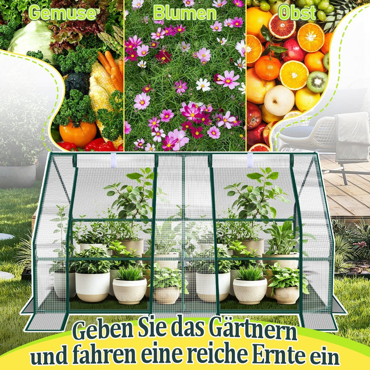 Greenhouse Tomato Greenhouse Hothouse | Kalsten