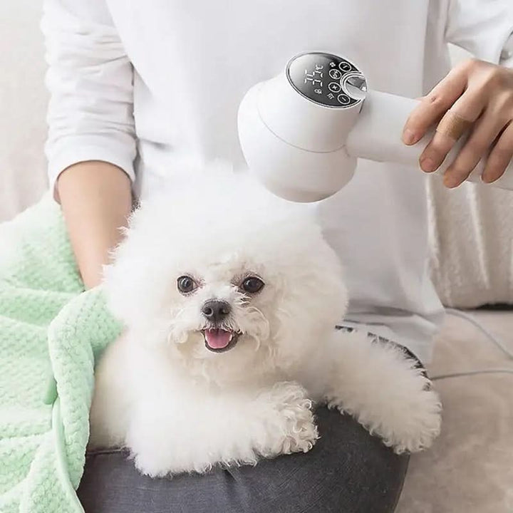 Kalsten | Quiet Hair Dryer with Ion Technology for Pets