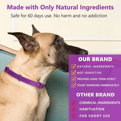 Skanto | Calmdog – Natural Calming Collar for Dogs with Pheromones and Essential Oils