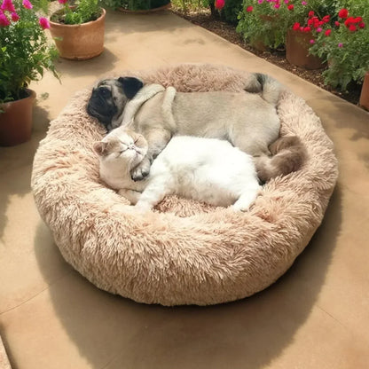 Skanto | SLUMBERPAWS BED – Calming Dog Bed for Deep, Restful Sleep