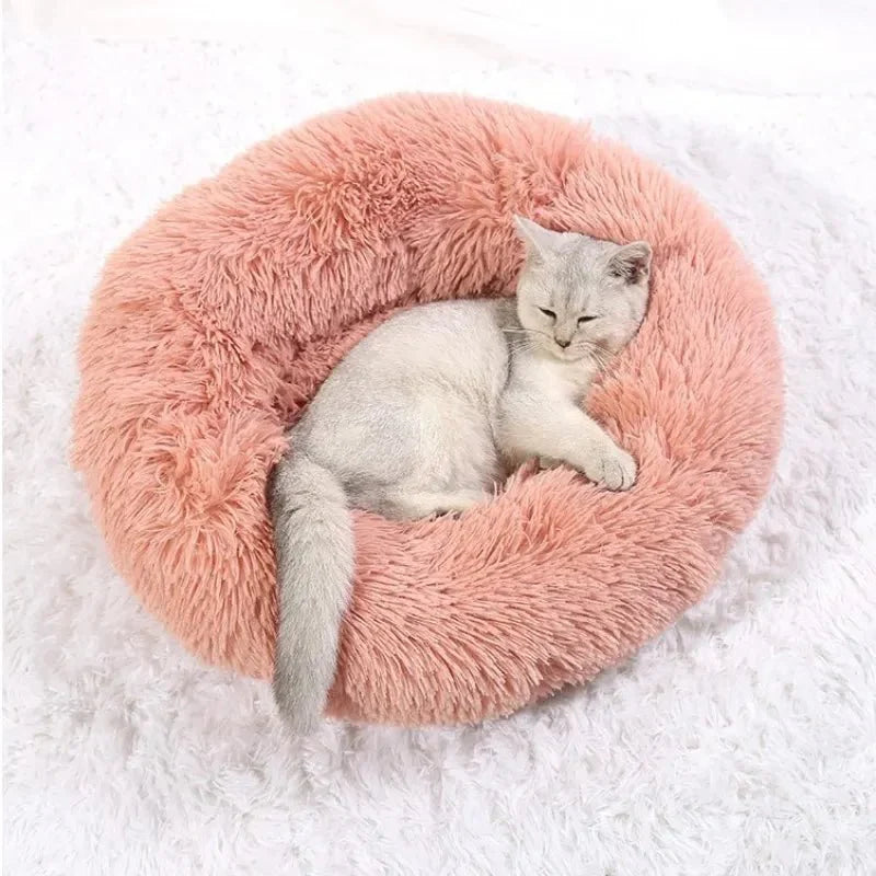 Skanto | SLUMBERPAWS BED – Calming Dog Bed for Deep, Restful Sleep