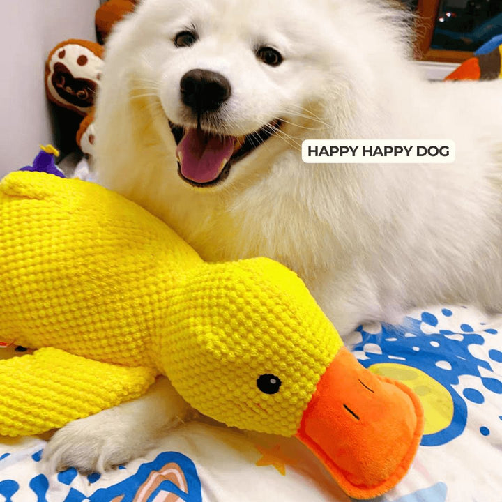 Kalsten | Calming duck for dogs