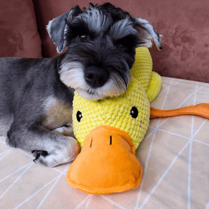 Kalsten | Calming duck for dogs
