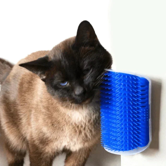 Self-Grooming Cat Corner Brush – FurRelaxer Kalsten