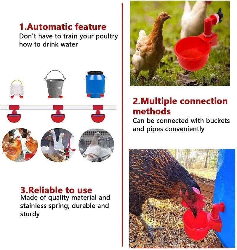 Norvo | Automatic Chicken Water Cup Bird Coop
