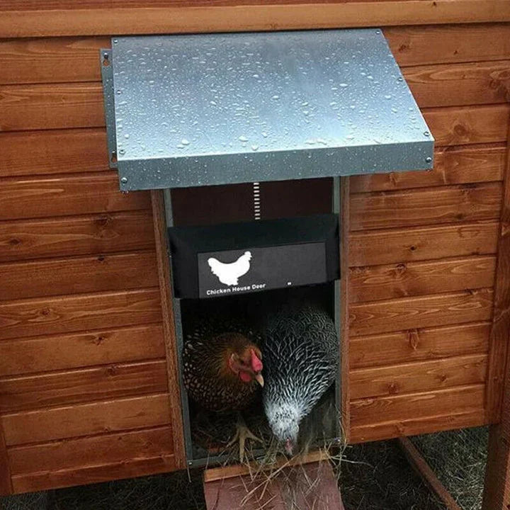 HenSafe – Automatic Chicken Coop Door Kalsten
