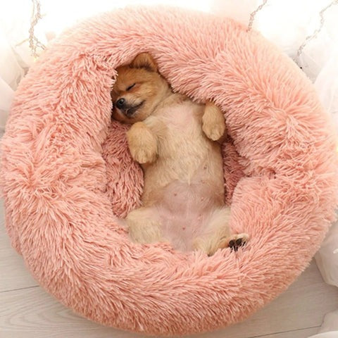 Orthopedic Plush Dog Bed & Soothing Pet Blanket Kalsten