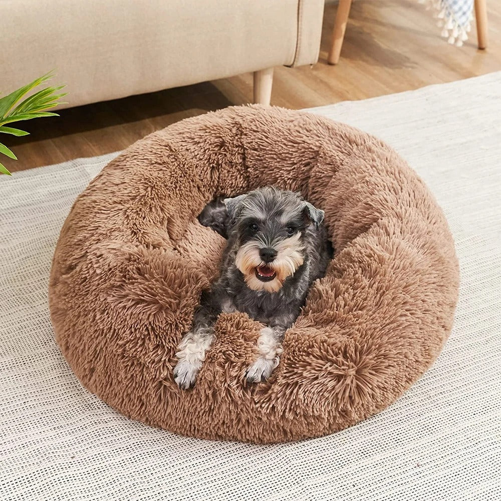 Orthopedic Plush Dog Bed & Soothing Pet Blanket Kalsten