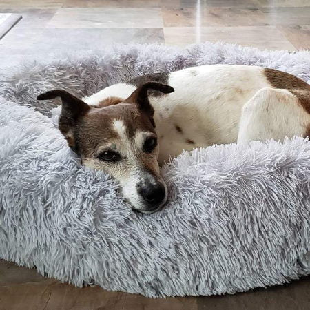 Orthopedic Plush Dog Bed & Soothing Pet Blanket Kalsten