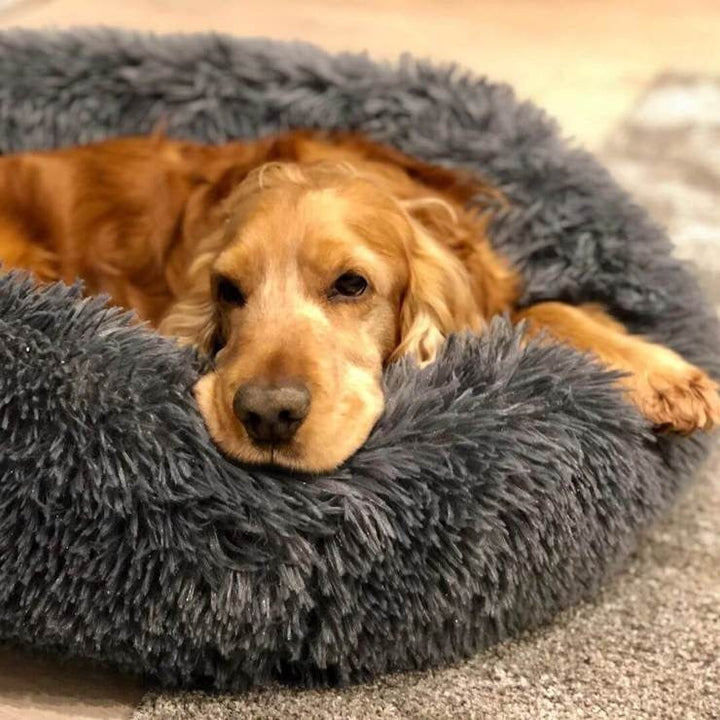 Orthopedic Plush Dog Bed & Soothing Pet Blanket Kalsten