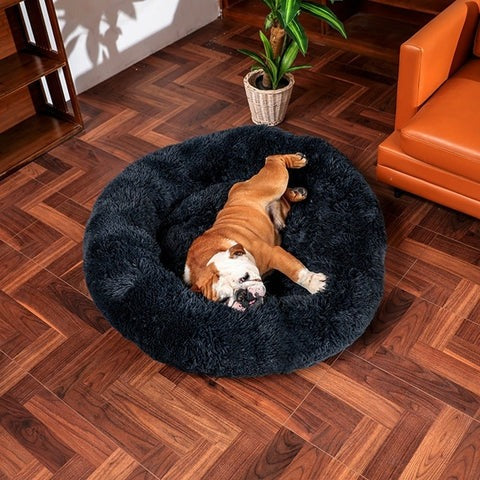 Orthopedic Plush Dog Bed & Soothing Pet Blanket Kalsten