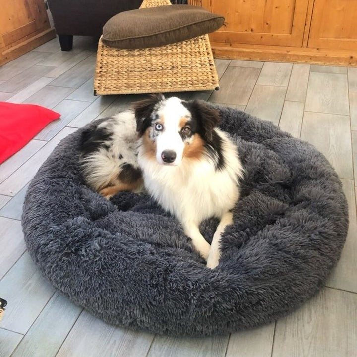 Orthopedic Plush Dog Bed & Soothing Pet Blanket Kalsten