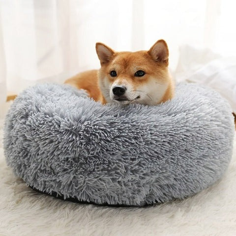 Orthopedic Plush Dog Bed & Soothing Pet Blanket Kalsten