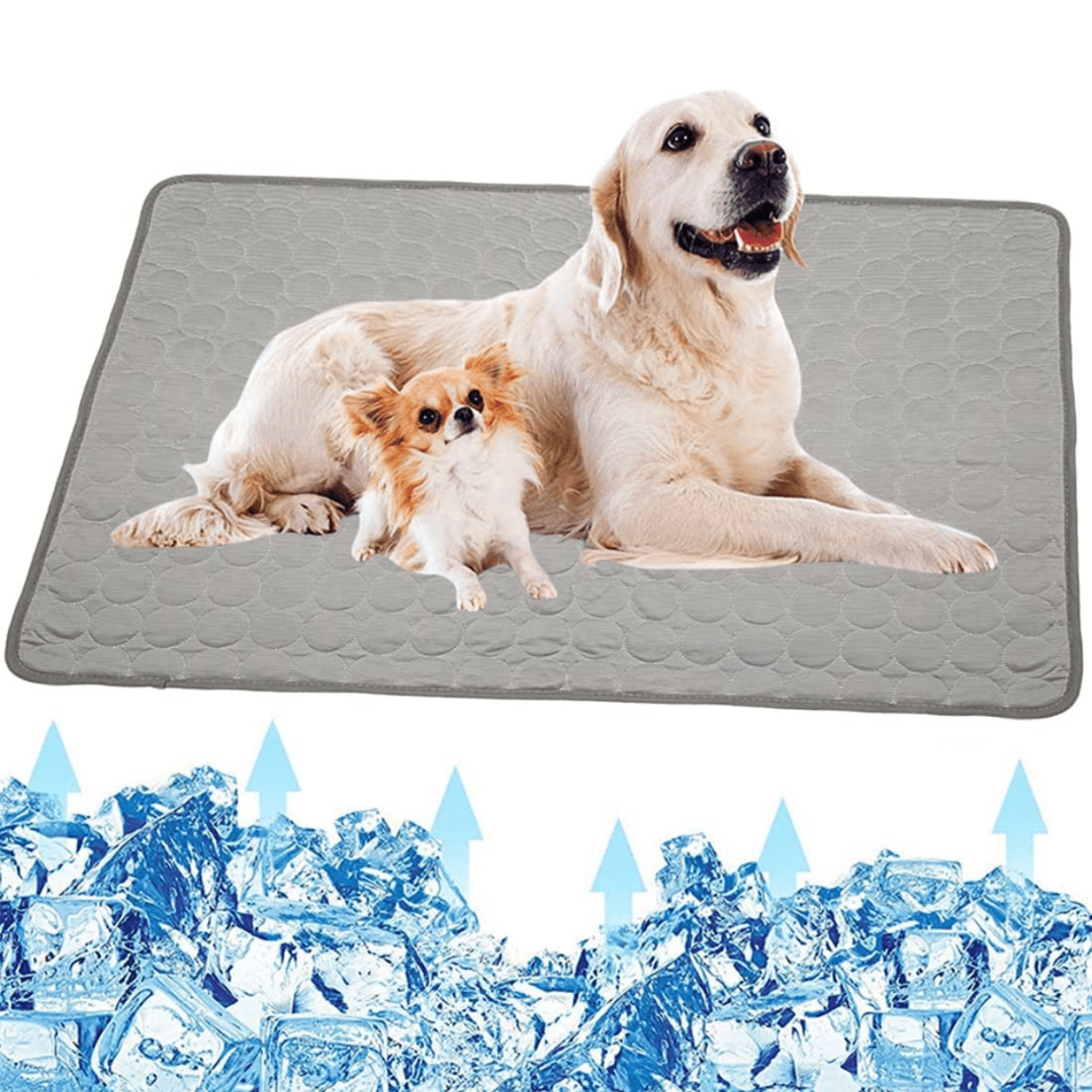 Cooling Dog Mat - CoolPet Mat Kalsten