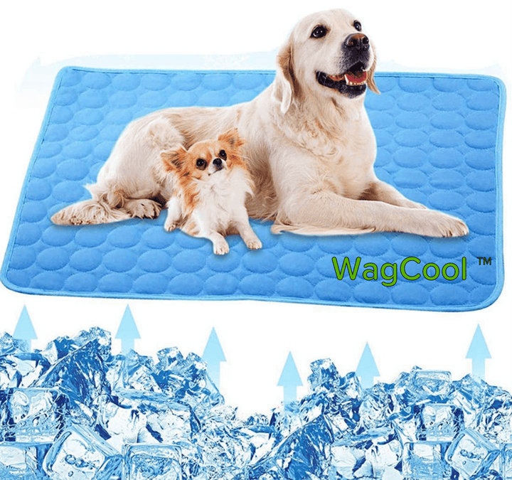 Cooling Dog Mat - CoolPet Mat Kalsten