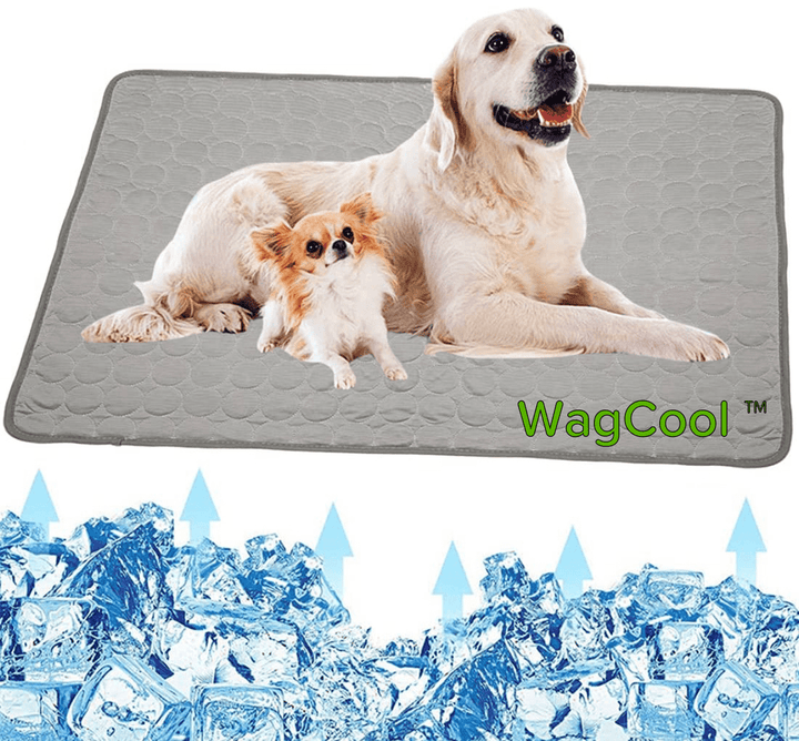 Cooling Dog Mat - CoolPet Mat Kalsten