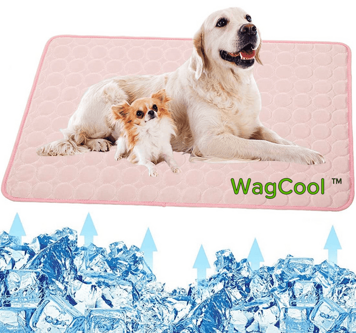 Cooling Dog Mat - CoolPet Mat Kalsten