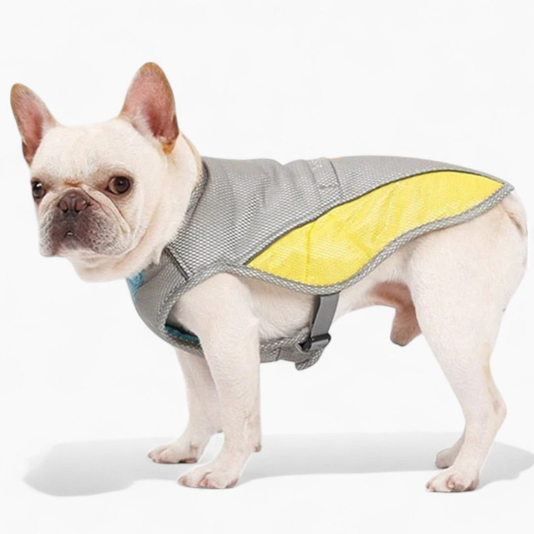 Coolify™ : Cooling Vest for Frenchie (CS13) | Kalsten