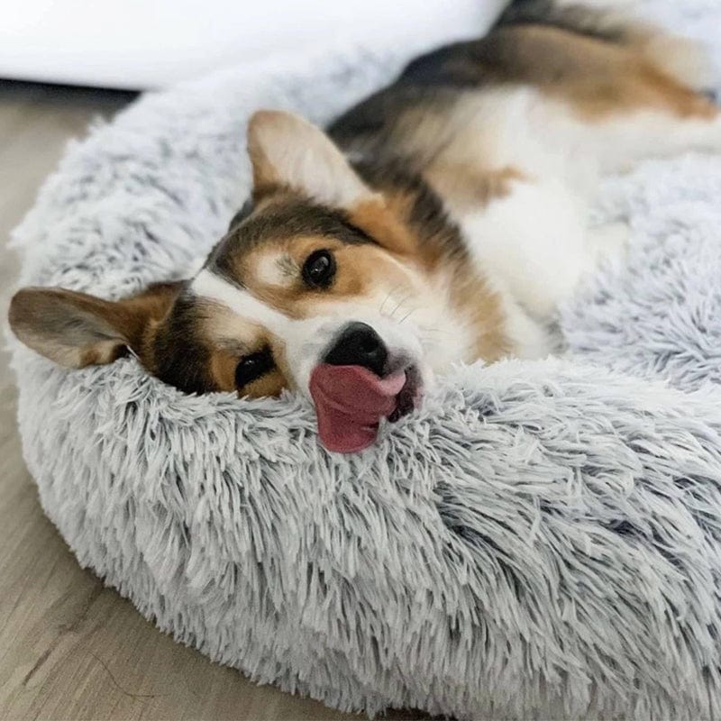Skanto | COZYPET – Calming Dog Bed with Plush Faux Fur & Removable Cover