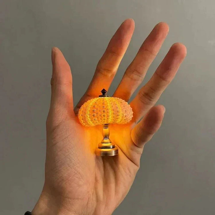 Table Lamp Mini Sea Urchin Shell Light | Kalsten