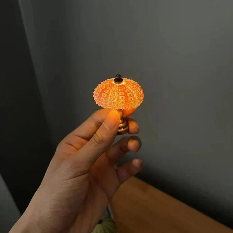 Table Lamp Mini Sea Urchin Shell Light | Kalsten
