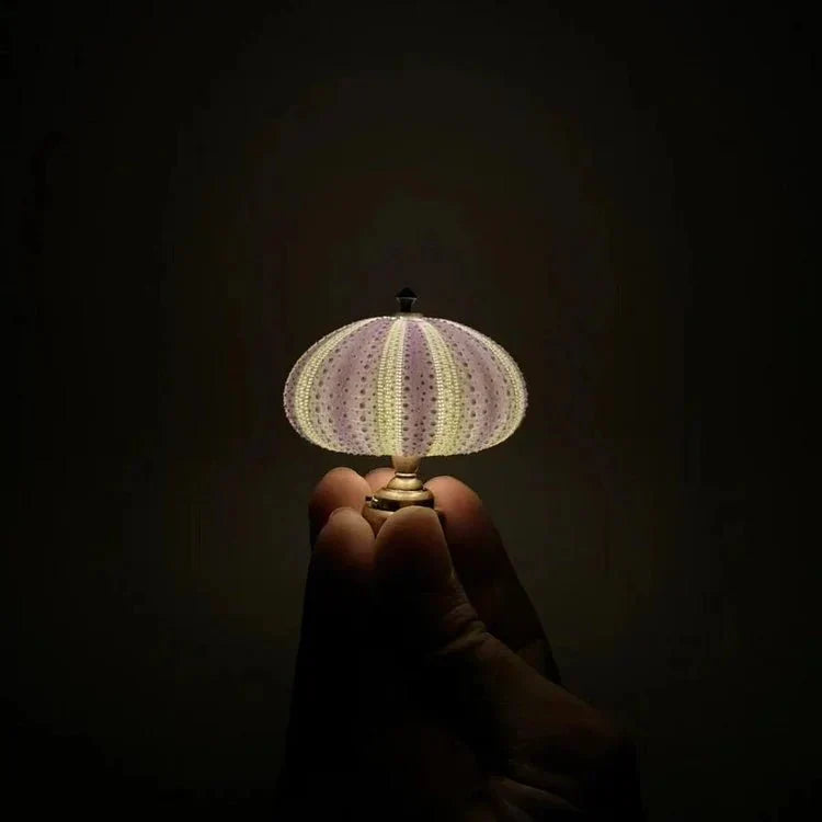 Table Lamp Mini Sea Urchin Shell Light | Kalsten
