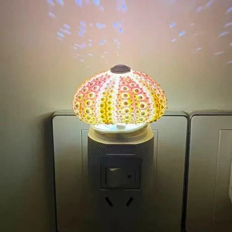 Table Lamp Mini Sea Urchin Shell Light | Kalsten