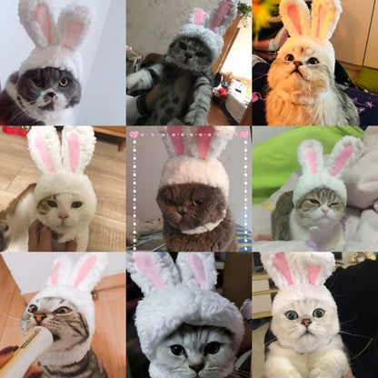 BowLift | Cute Rabbit Hat for Pets – Perfect for New Year & Christmas Cosplay, Party Photo Props