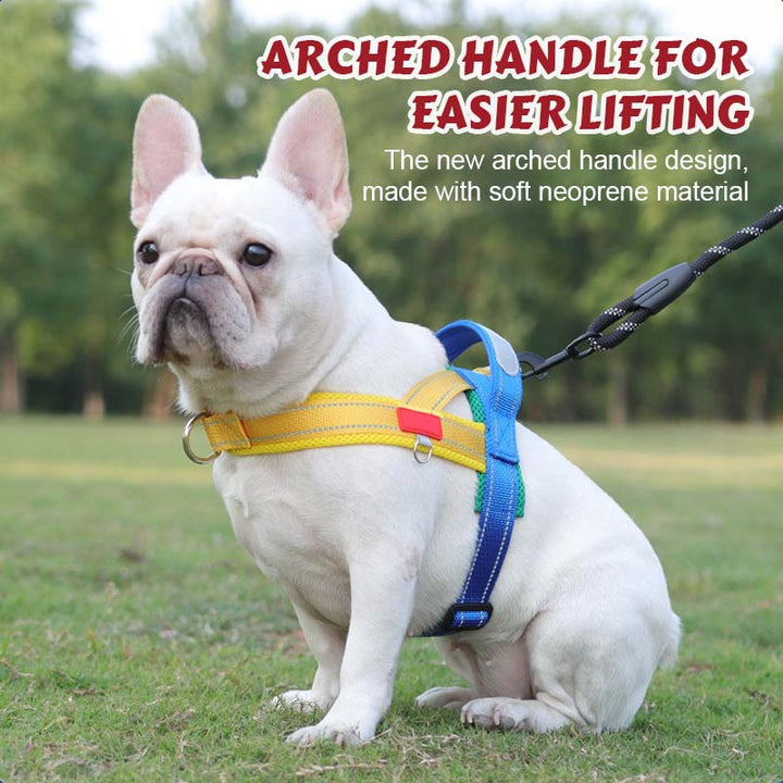 PawEase Comfort Harness — Relaxed Dressing and Unlimited Freedom for Your Dog | Kalsten