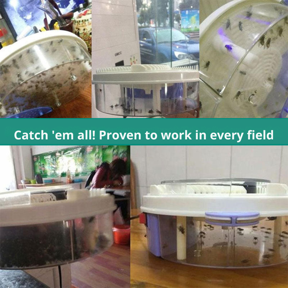 Fly trap without chemicals – SilentCatch | Kalsten