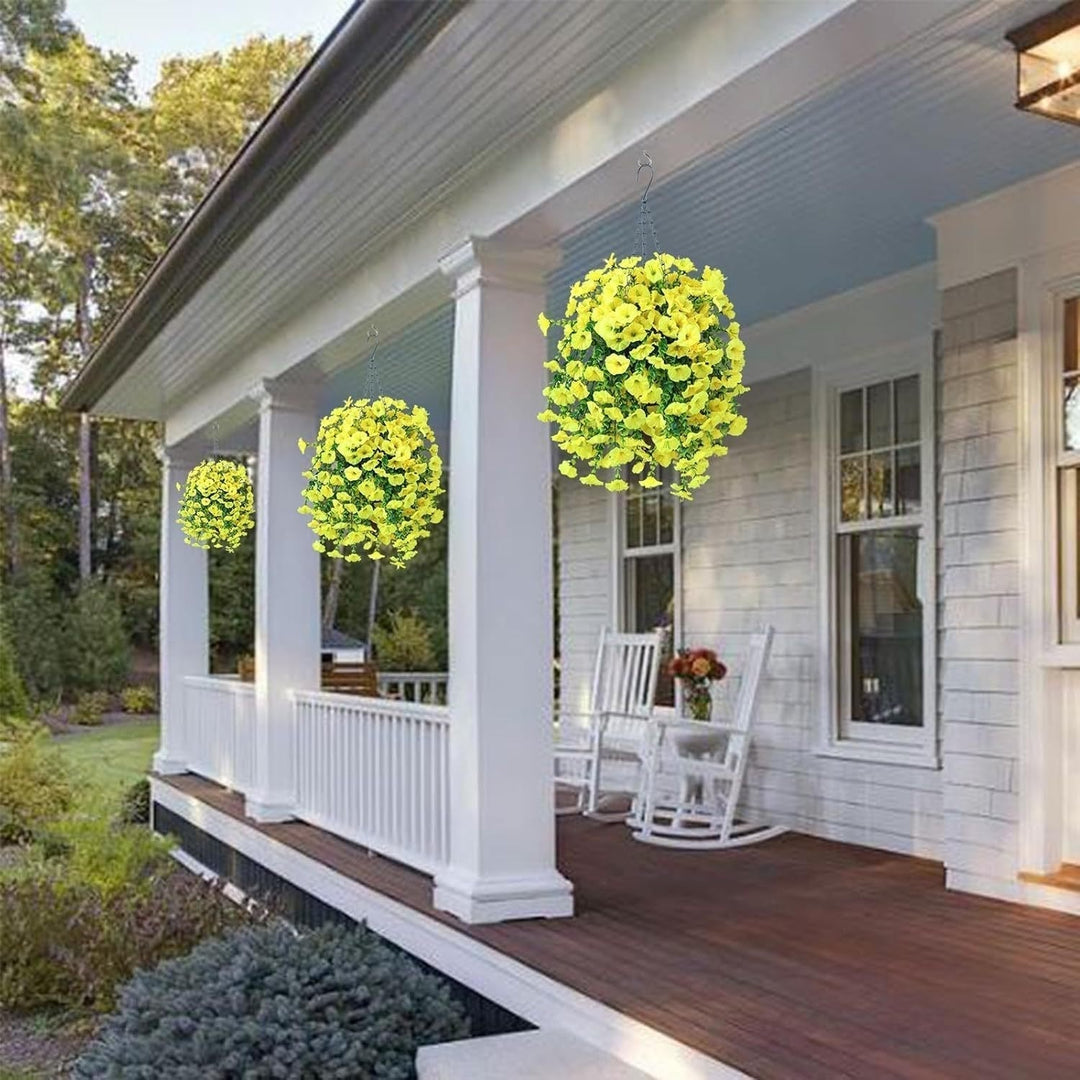 Kalsten | UV Resistant Hanging Morning Glory