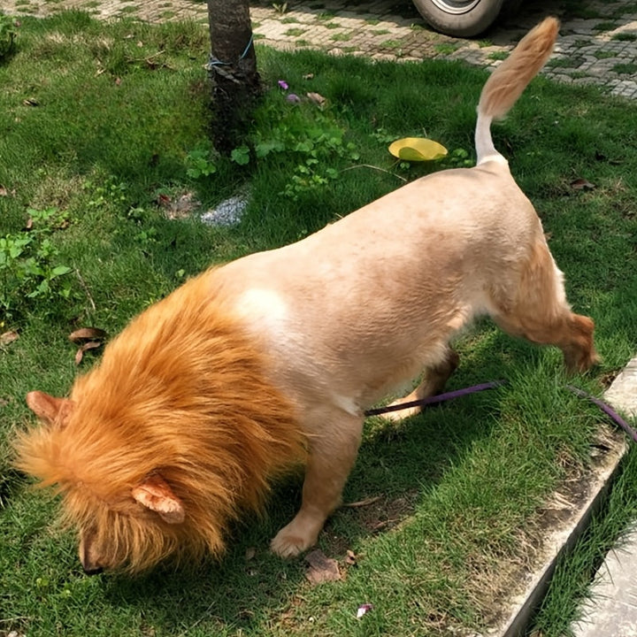Dog Lion Mane Halloween Costume Lightweight Adjustable Kalsten