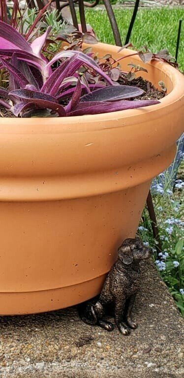 Kalsten | Potty Feet Plant Pot Feet