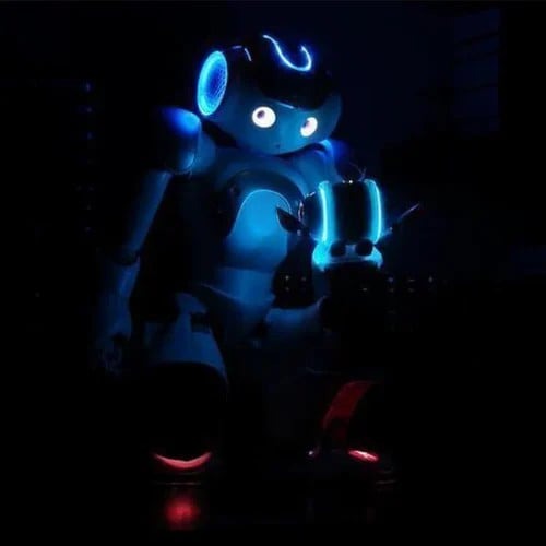 Kalsten | Kids Learning Robot | Intelligent Toy with Gesture Control | Music, Dance & Programming | Gift for Christmas & Birthday