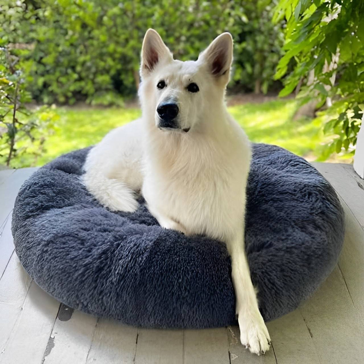 Skanto | Calming Dog Bed