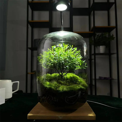 Micro Landscape Green Oasis Glass Vases | Brehn