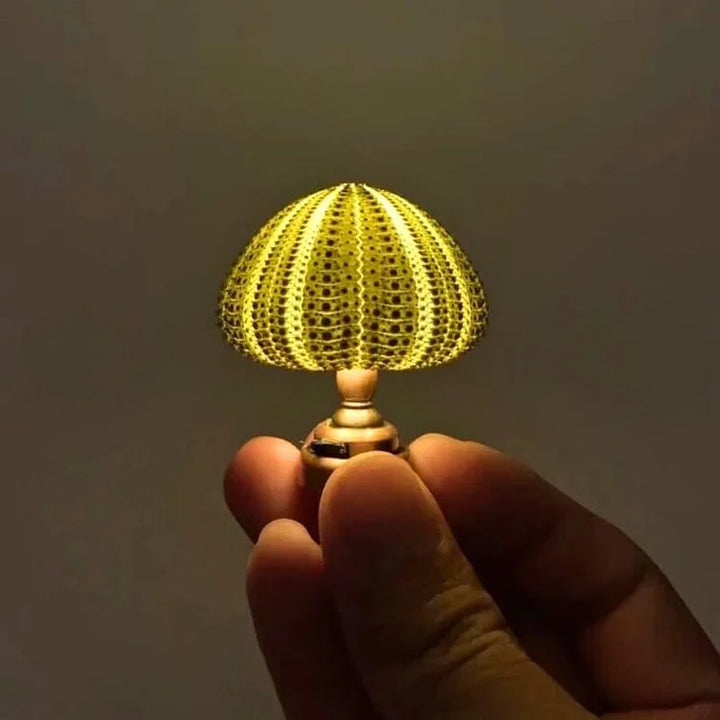 LumiCraft – Unique DIY table lamp with natural sea shell for a cozy décor | Kalsten