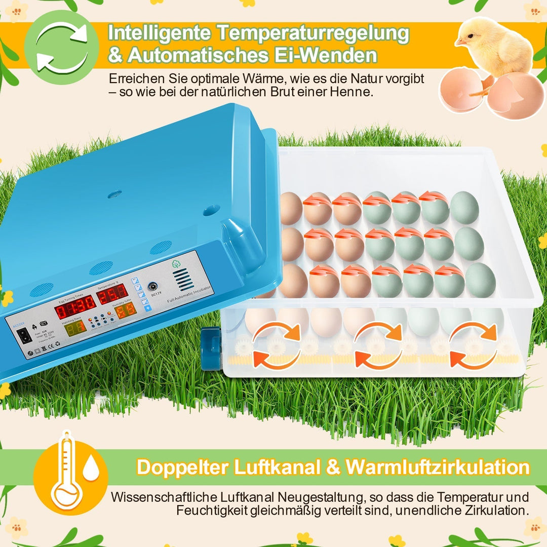 Brutautomat Fully Automatic Incubator for Chickens 64 Eggs | Kalsten