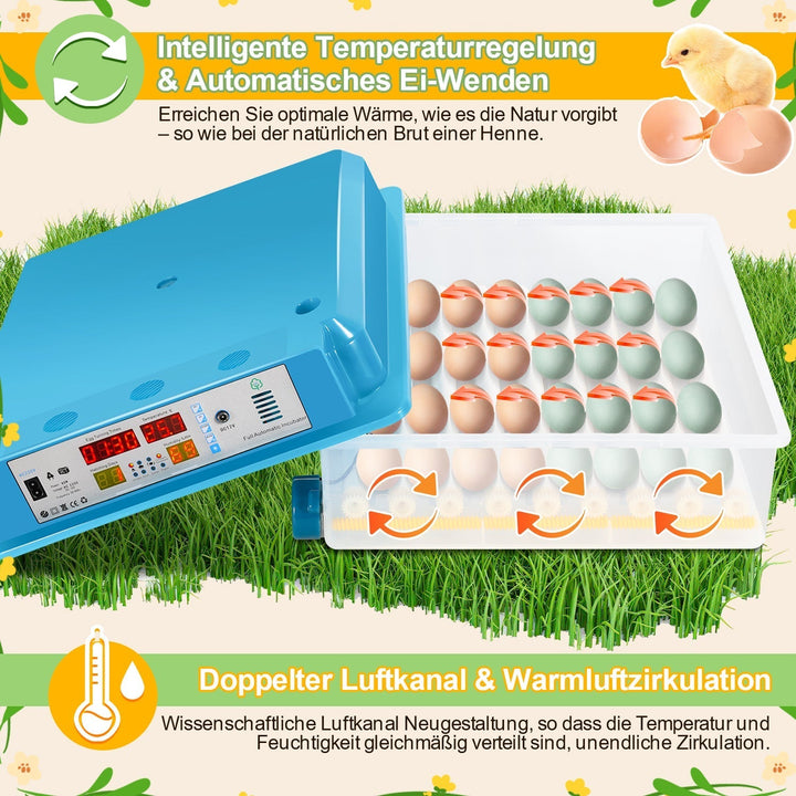 Brutautomat Fully Automatic Incubator for Chickens 64 Eggs | Kalsten