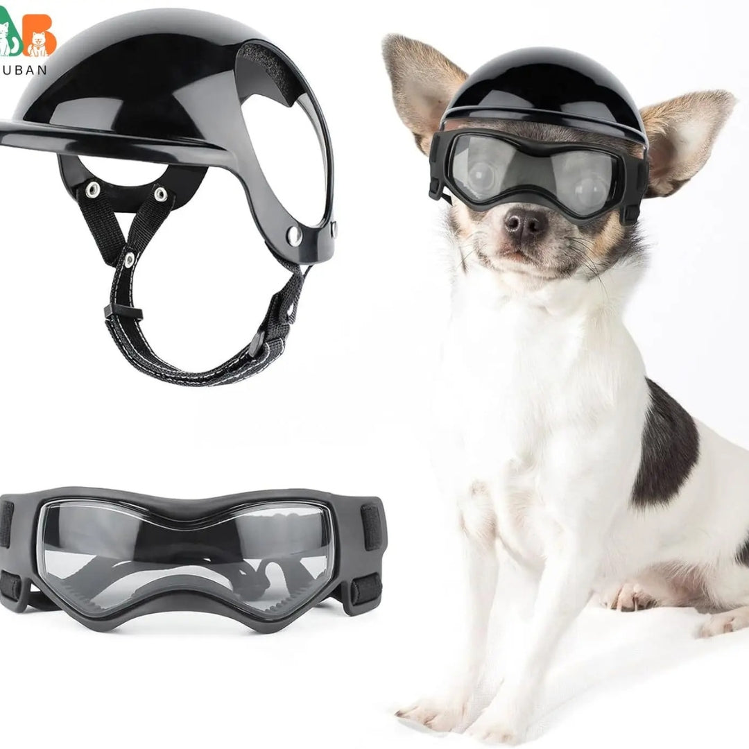Dog Helmet and Goggles - RiderPaw Bowlift