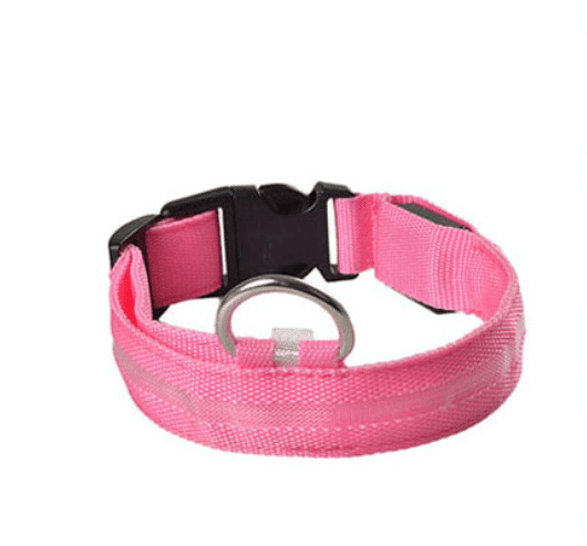 Dog collar with LED light | Kalsten