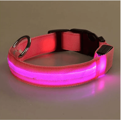Dog collar with LED light | Kalsten
