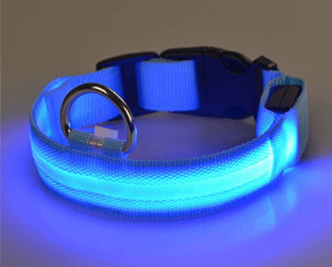 Dog collar with LED light | Kalsten