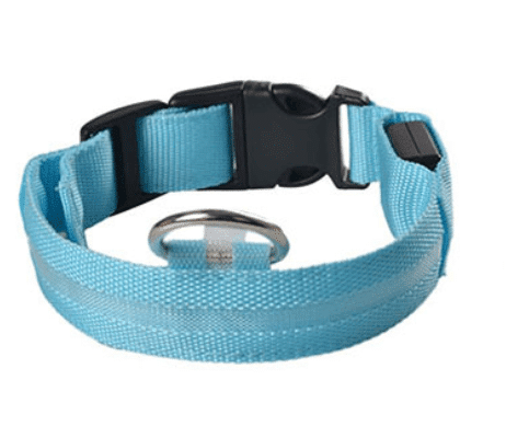Dog collar with LED light | Kalsten