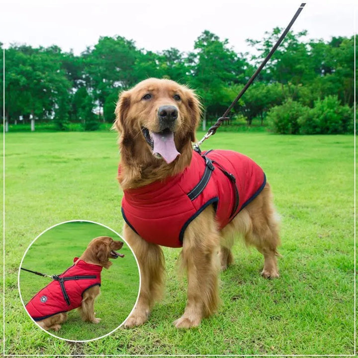 Waterproof Winter Dog Jacket with Reflective Harness