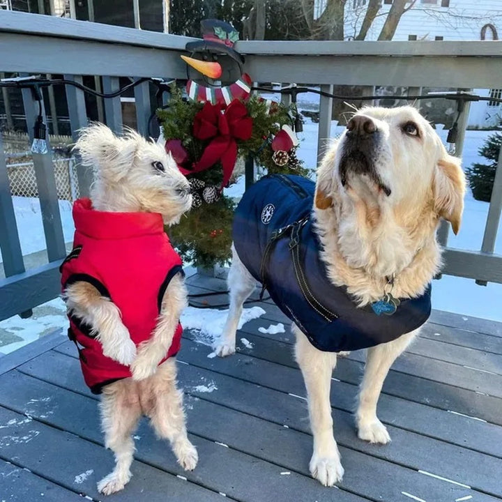 Waterproof Winter Dog Jacket with Reflective Harness